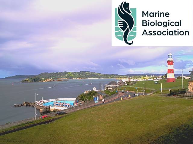 MBA live webcam